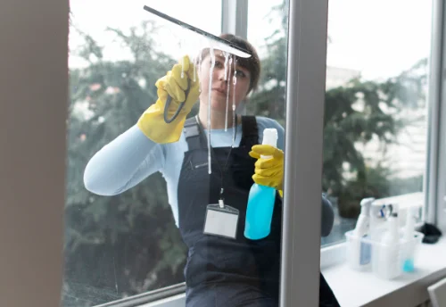 Nettoyage de vitres intérieures et extérieures à Port-Lesney